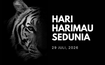 Selamat Hari Harimau Sedunia: Lestarikan Harimau, Jaga Hutan, Selamatkan Kehidupan