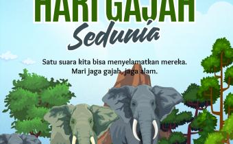 Bawaslu Tanggamus Ajak Masyarakat Jaga Kelestarian Gajah dan Habitatnya